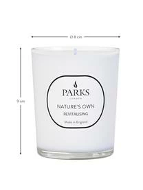 Parks London Duftkerze Revitalising Spa (Minze, Zitrus & Thymian) 5 Parks London Duftkerze Revitalising Spa (Minze, Zitrus & Thymian) – Bild 3