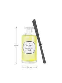 Kerzen Kerzenhalter Verkaufsgeschäft -Kerzen Kerzenhalter Verkaufsgeschäft 1575037