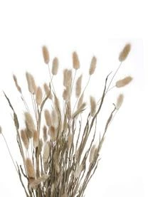 Butlers Blumenstrauß Flower Market Aus Trockenblumen 9 Butlers Blumenstrauß Flower Market Aus Trockenblumen – Bild 7